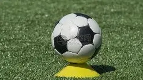 澳职业足球联赛7月16日复赛，详细安排公布