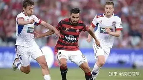 龙8国际 产品 031250 i91