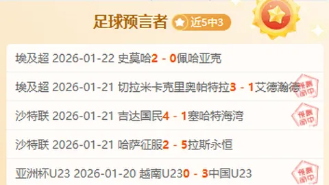王峥：链球征途，笑容照亮赛场全程